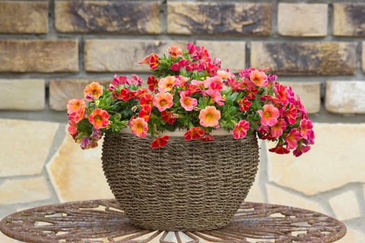 beautiful place in the garden in the mediterranean style, pot with petunia on the table
