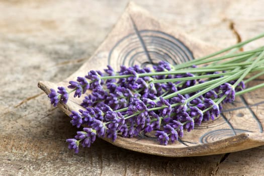 Bunch of lavender flowers on clay plate