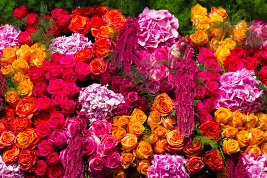 flowers background - roses and hortensia flowers
