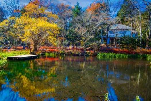 autumn leaves of Karuizawa Cloud Field Pond, Japan