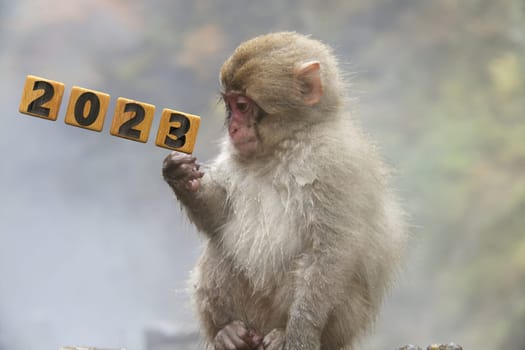 The 3d rendering of monkey holding 2023 plate on the stone