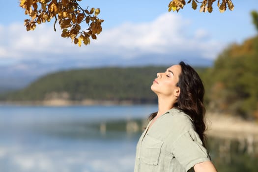 Profile of a relaxed happy woman breathing fresh air in nature