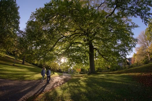 Sheffield, United Kingdom, 21st October, 2021: Young man and woman walk into sunlight near botanical road entrance to sheffield botanical gardens