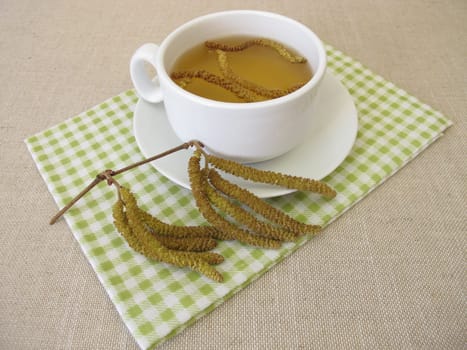Herbal tea with hazel catkins, hazel flowers from hazel shrub