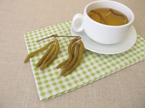 Herbal tea with hazel catkins, hazel flowers from hazel shrub