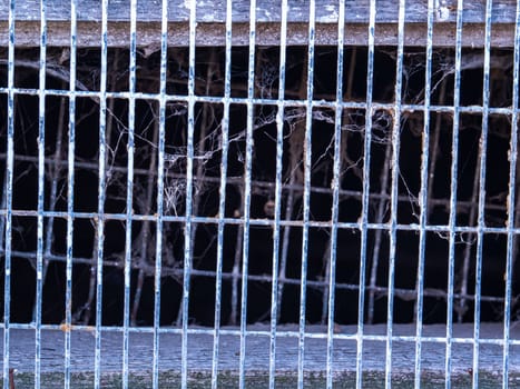 Metal lattice of the cage for keeping farm animals. Place for animals on the farm. Metal grid. Background image. Aging of iron.