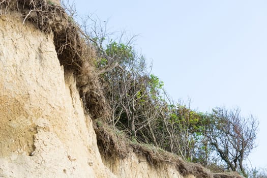 Cliff of ahrenshoop village at baltic sea peninsula darss. (Germany) in autumn time.