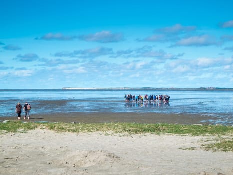 Landscape view of the North German Wadden Sea at low tide with a guided group of mudflat hikers in a blue sky with clouds.