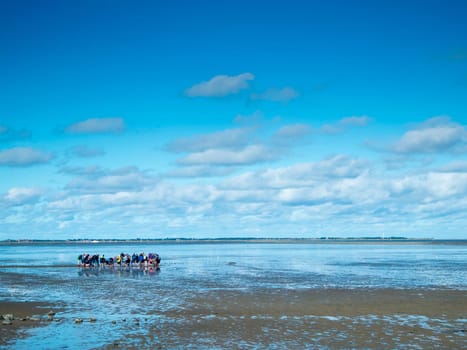 Landscape view of the North German Wadden Sea at low tide with a guided group of mudflat hikers in a blue sky with clouds.