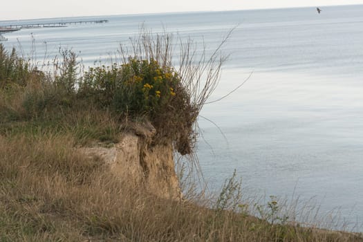 Steep coast on the Baltic Sea near Ahrenshoop