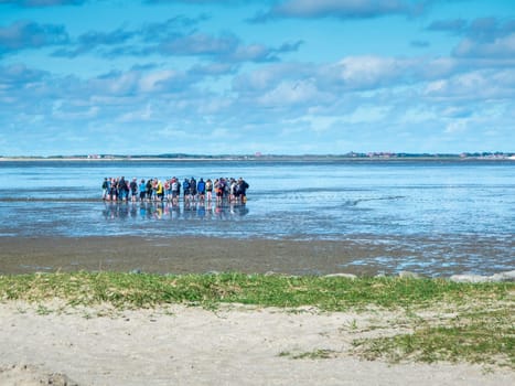 Landscape view of the North German Wadden Sea at low tide with a guided group of mudflat hikers in a blue sky with clouds.
