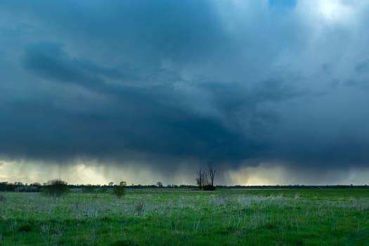Rainy cloud over the meadows and lonely trees, Czulczyce, Lubelskie, Poland