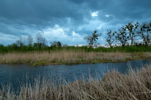 Pond with reeds and cloudy sky, Stankow, Lubelskie, Poland