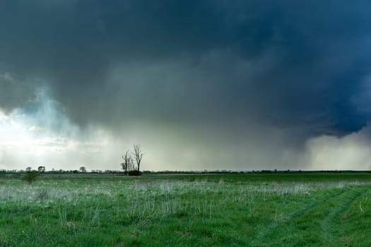 The cloudburst over the meadow with trees, Czulczyce, Lubelskie, Poland