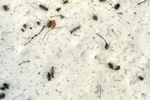 fallen needles from the Christmas tree lie on the snow, background, texture. High quality photo