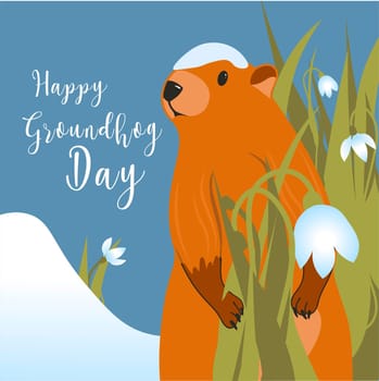 Groundhog day card. The harbinger of spring. Cute marmot character. February 2. Vector illustration with a marmot.