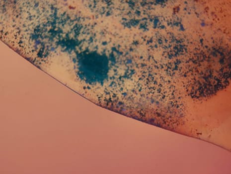 abstract background fantasy illusion rarity imagination virus bacteria sensation