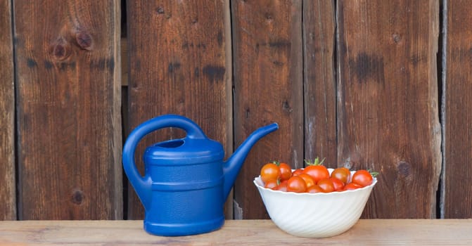 Gardening fresh and juicy vegetables from farming agriculture. Organic nature solanum bio tomato food on wooden copyspace panorama.