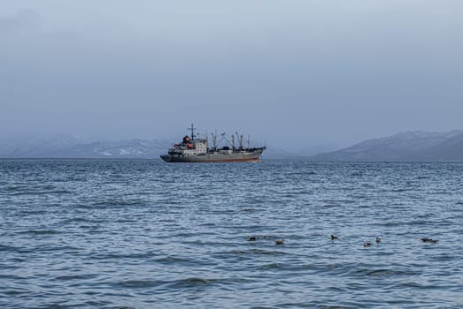 The Fishing seiners  in Avacha Bay in Kamchatka peninsula