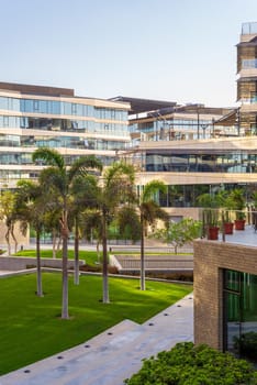 Contemporary urban city district with well run glass building and verdant lawn and trees before sunset