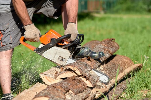 sawing timber with a chainsaw on a sunny day in summer. High quality photo