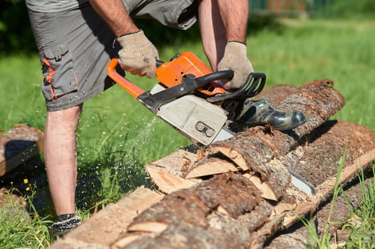 sawing timber with a chainsaw on a sunny day in summer. High quality photo