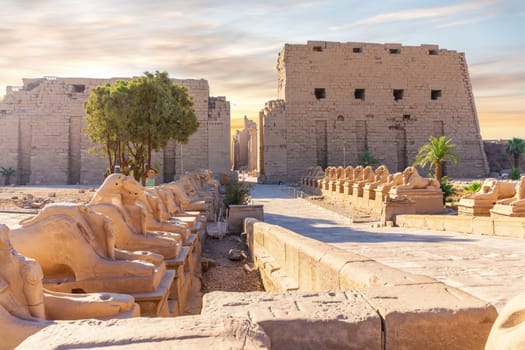 The King s Festivities Road or Avenue of Sphinxes, ram-headed statues of Karnak Temple, Luxor, Egypt.