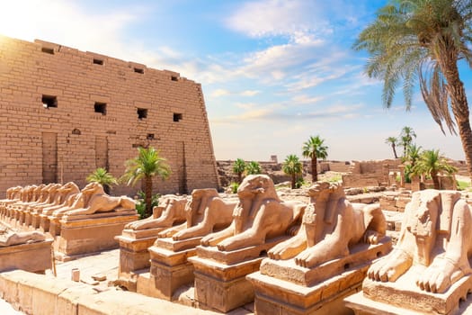 Avenue of Sphinxes or The King s Festivities Road, ram-headed statues of Karnak Temple, Egypt.