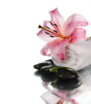 Spa concept with lily flower and zen stones over white