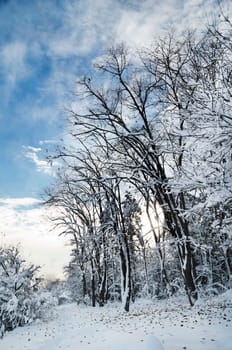 Winter landscape in vintage style