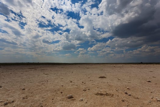 Panorama from Etosha National Park, Namibia