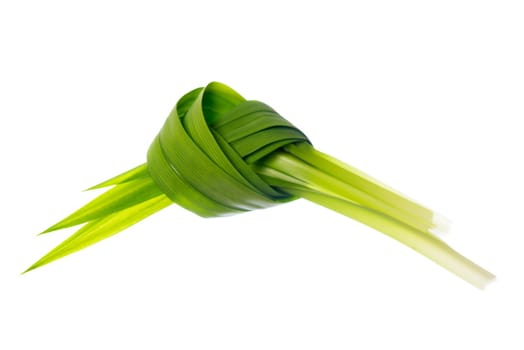 Fresh Pandan leaves isolated on white background.