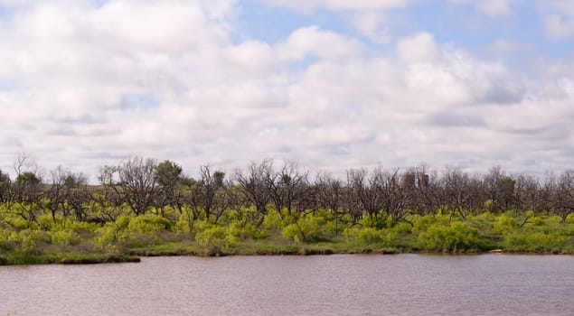 Soft puffy white clouds fill the blue sky over green vegetation and a rippled lake