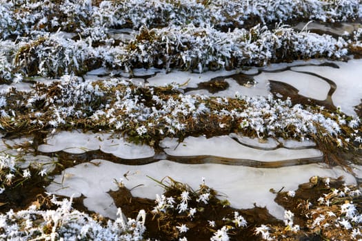 Ice pattern in a river bed