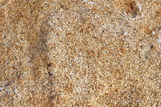 natural texture of sawdust close-up. High quality photo