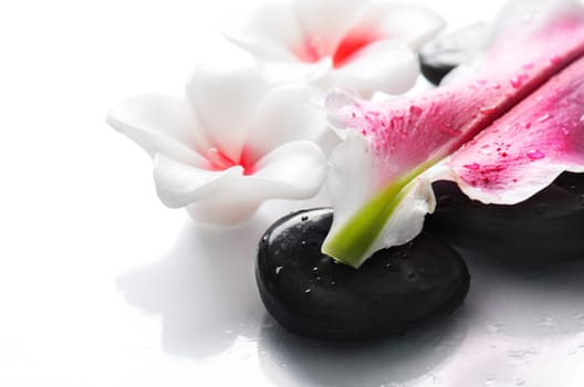 pa stones and flower petal over white background