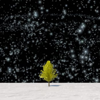 The 3d rendering tree in full leaf in winter against sky