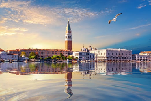 Seagull flies by San Marco and Doge's Palace at sunset, Venice, Italy.