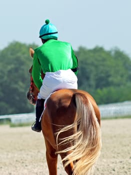 The jockey and akhal-teke stallion.Hippodrome in city Pyatigorsk,Caucasus,Russia.