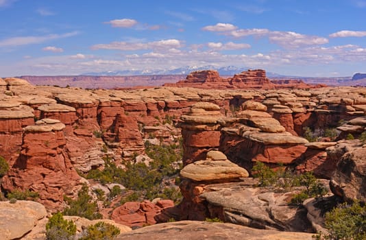 Snowy Mountains Beyond the Desert in Canyonlands National Park in Utah