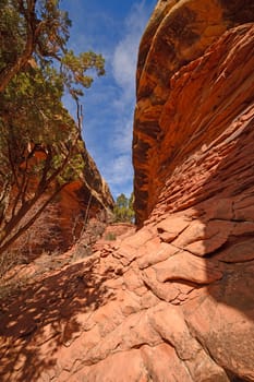 Narrow Trail Through the Canyonlands in the Needles Section of Canyonlands National Park in Utah