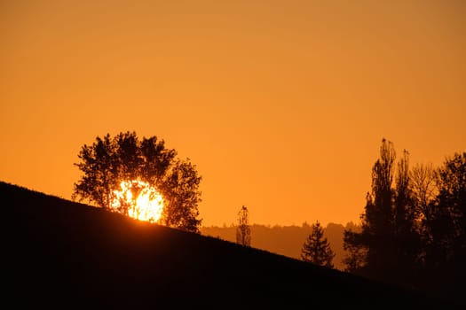 Sunrise huge sun behind a tree and hill landscape scene