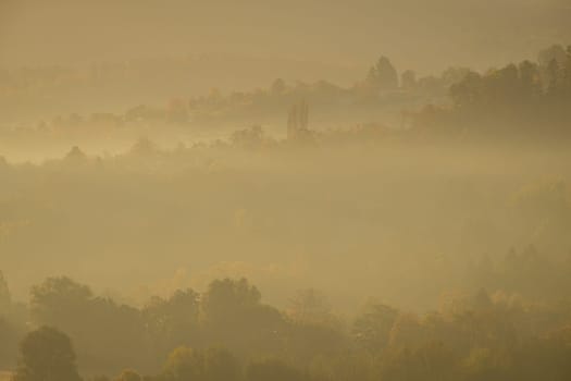 Morning mist in a german forest landscape back lit