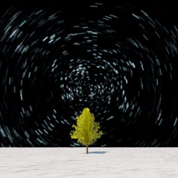 The 3d rendering tree in full leaf in winter against sky