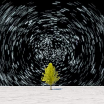The 3d rendering tree in full leaf in winter against sky