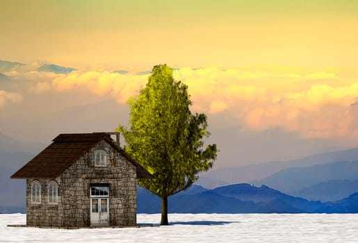 The 3d rendering tree and house in full leaf in winter against sky