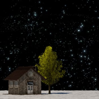 The 3d rendering tree and house in full leaf in winter against sky