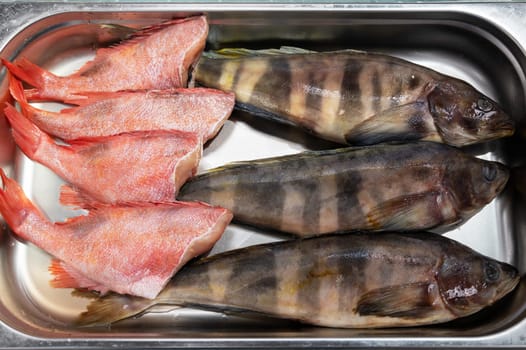 Fresh raw greenling fish and sea bass fish in the supermarket