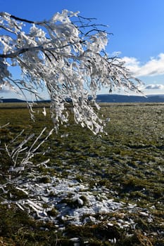 nice thaw in the sunshine