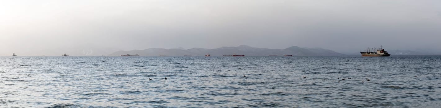 The panarama of Fishing seiners  in Avacha Bay in Kamchatka peninsula